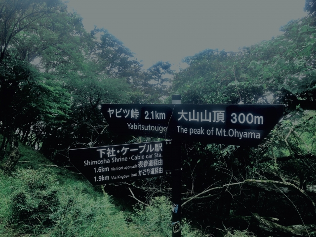 大山登山道の道しるべ、三方向を指している