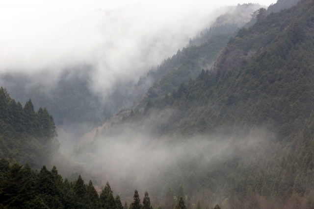 霧がかかる山