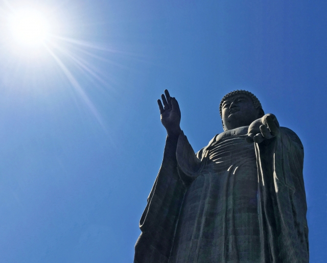 太陽の光と、阿弥陀如来を見上げる