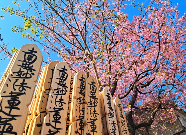 青空と桜の花の下に、新しい塔婆・南無妙法蓮華経と印されている