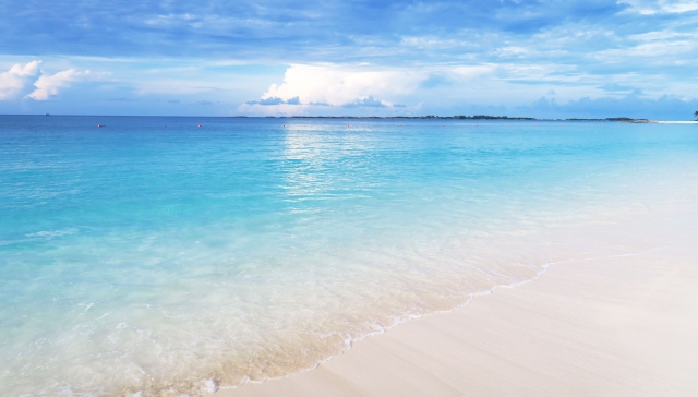 美しいカリブ海のブルーのビーチ