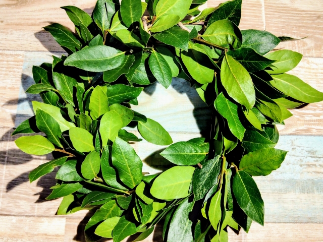 緑色をした月桂樹のリース