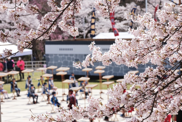 山形県天童市の桜と人間将棋